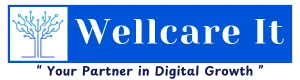 Wellcare IT